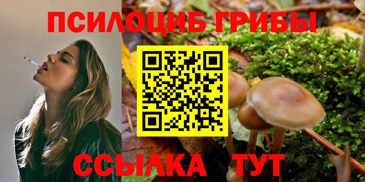 Удомля  Галлюциногенные грибы ЛСД  Вход с VPN 